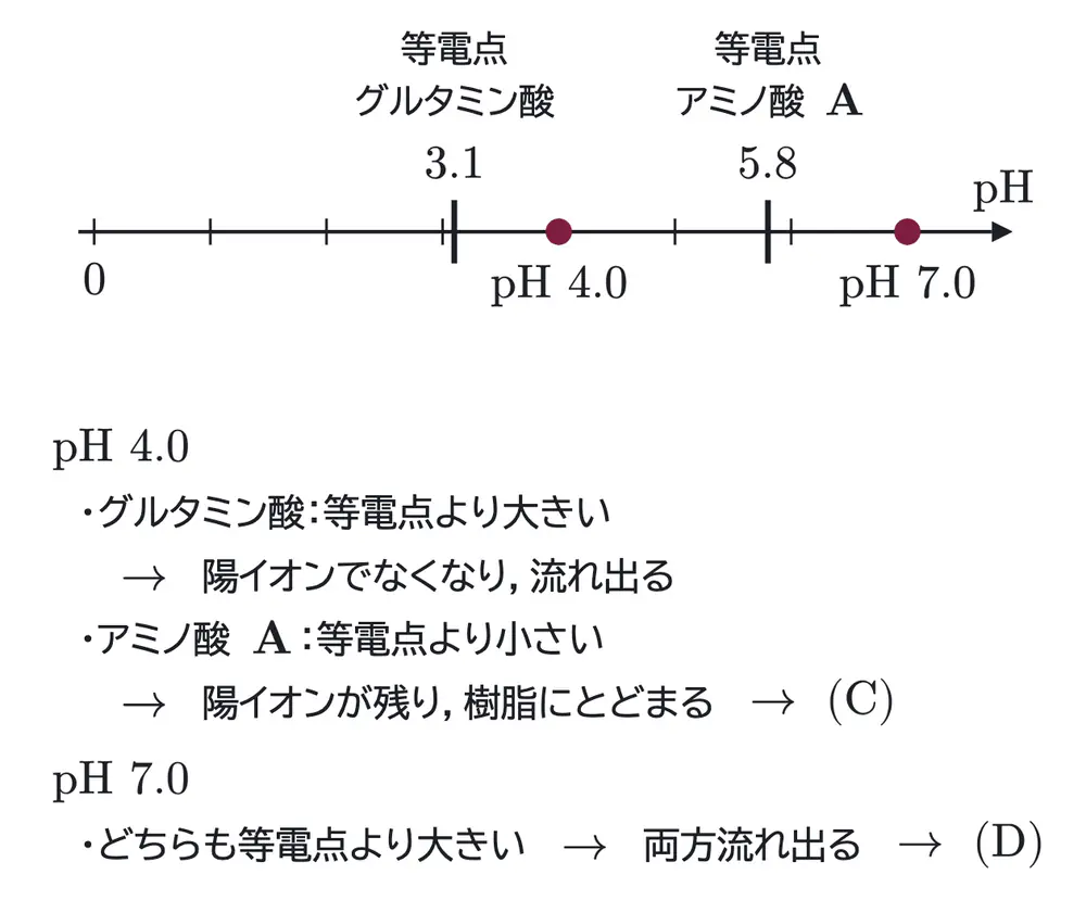 2024年九州大学化学 第5問 解答の方針の図