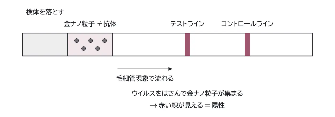2025年九州大学化学 第1問 コラムの図