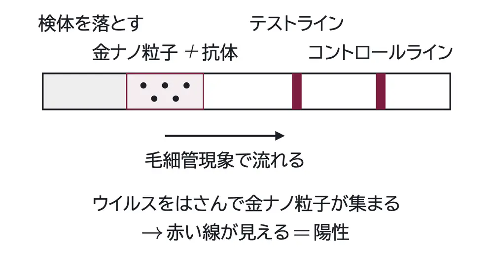 2025年九州大学化学 第1問 コラムの図
