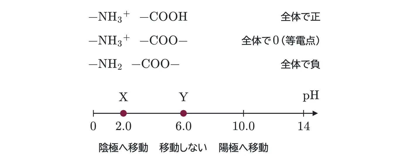 2025年九州大学化学 第1問 解答の方針の図