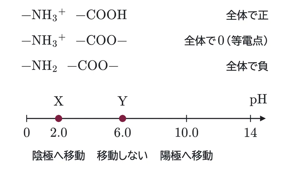 2025年九州大学化学 第1問 解答の方針の図