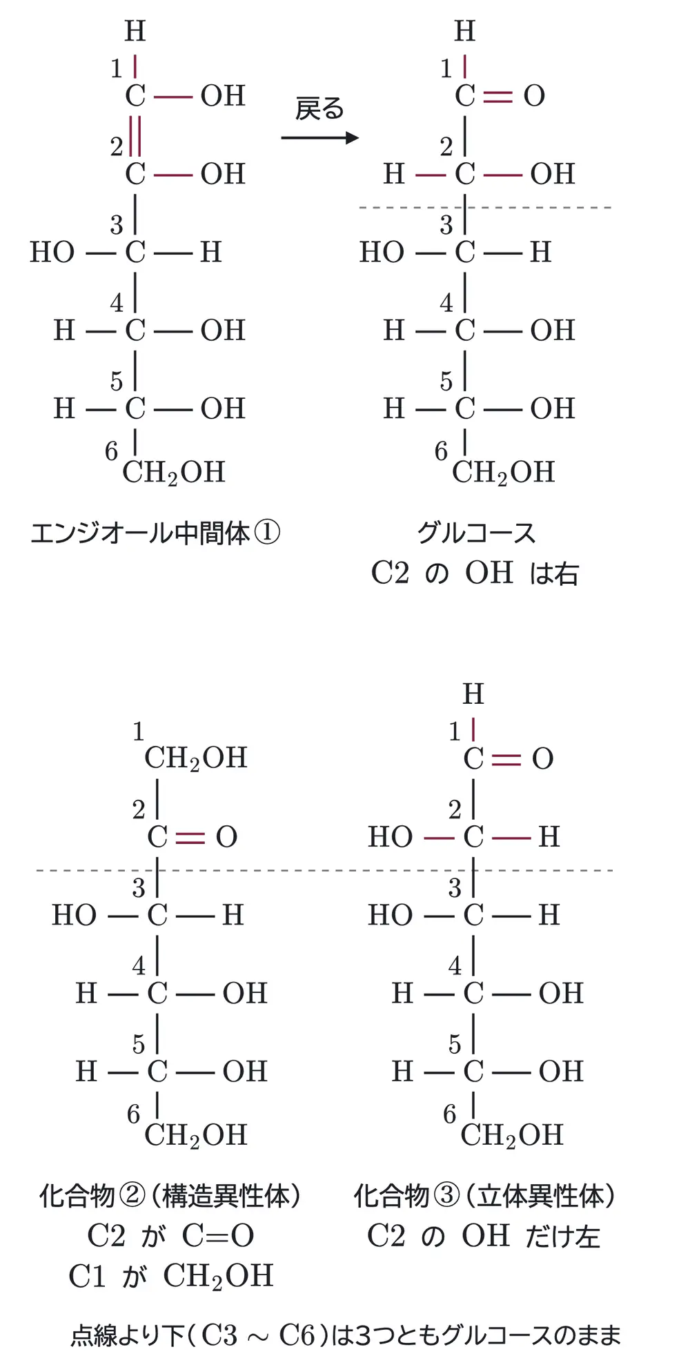 2025年九州大学化学 第5問 解答の方針の図