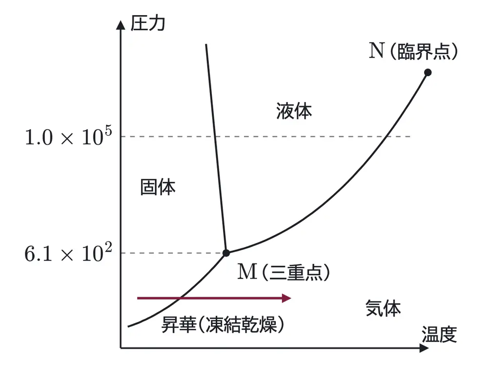 2026年九州大学化学 第1問 コラムの図