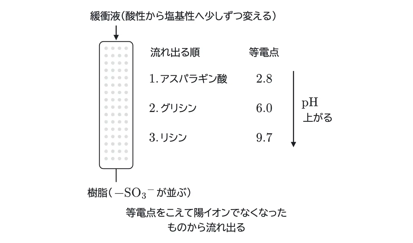 2026年九州大学化学 第5問 コラムの図