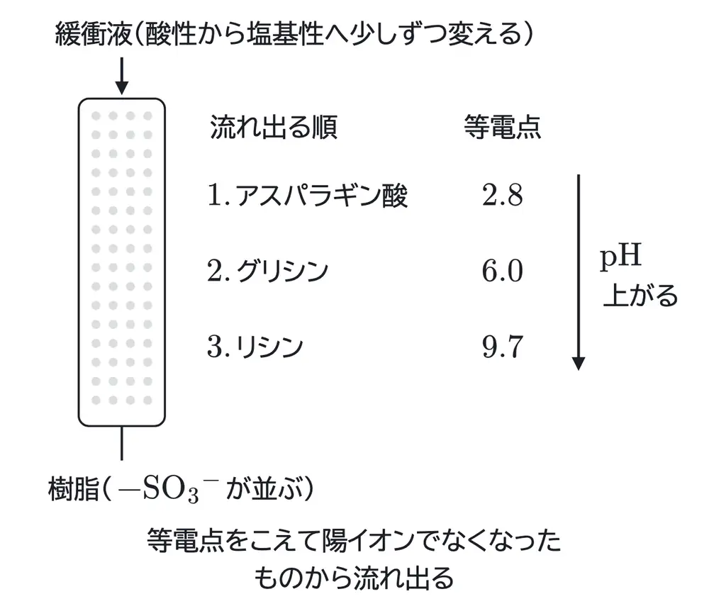 2026年九州大学化学 第5問 コラムの図
