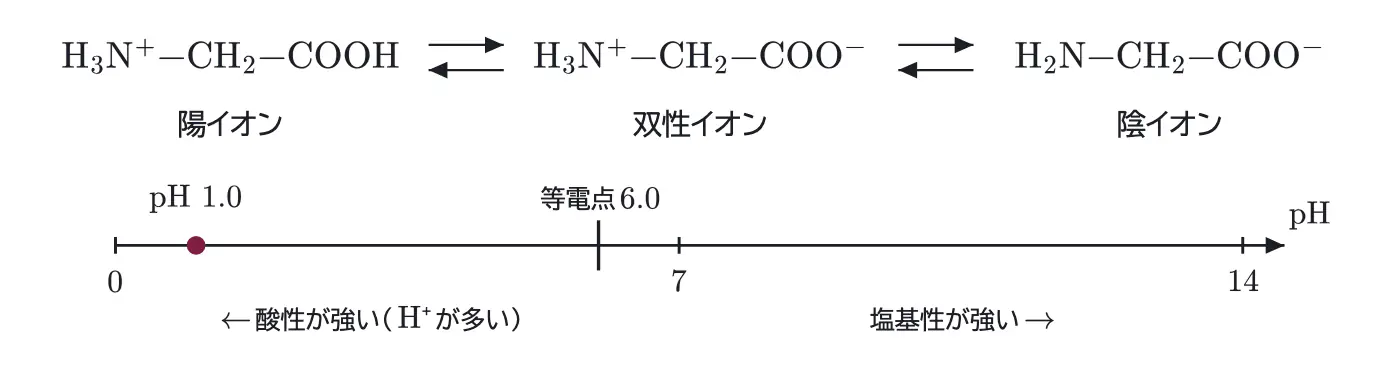 2026年九州大学化学 第5問 解答の方針の図